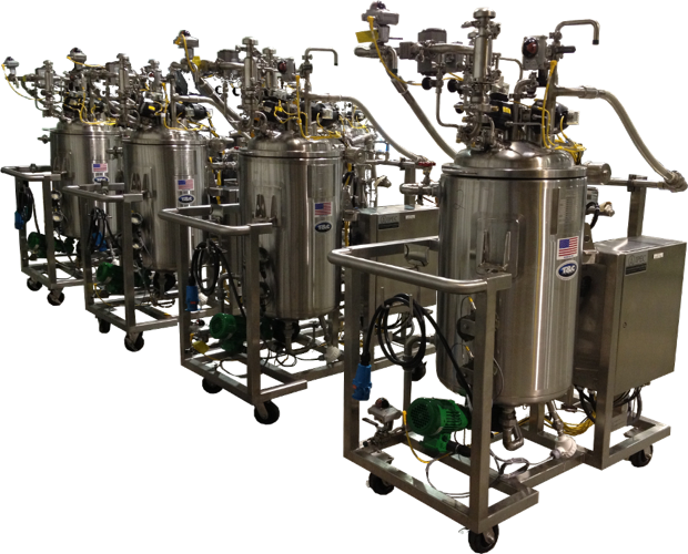 bulk pasteurization system